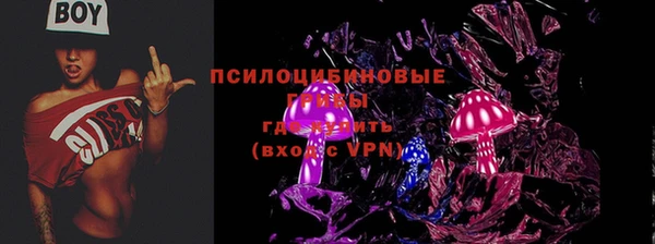 PSILOCYBIN Приозерск