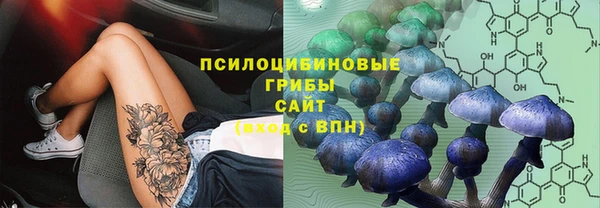 герыч Балахна